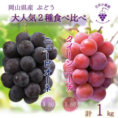 【2026年先行受付】岡山　花笑み農園の『ニューピオーネ＆クイーンニーナ』1kg(2房)　PQ-1【配送不可地域：離島・北海道・沖縄県】