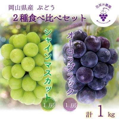 【2026年先行受付】岡山　花笑み農園の『オーロラブラック＆シャインマスカット』1kg(2房)AS【配送不可地域：離島・北海道・沖縄県】