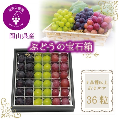 【2026年先行受付】岡山　花笑み農園『ブドウの宝石箱』3種以上(36粒入り)　3M-宝36【配送不可地域：離島・北海道・沖縄県】