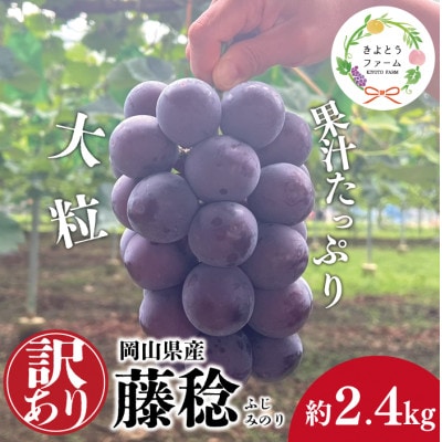 【2026年先行予約】訳あり 種なし ボッケーネ(藤稔) 約2.4kg (岡山県産)【配送不可地域：離島】