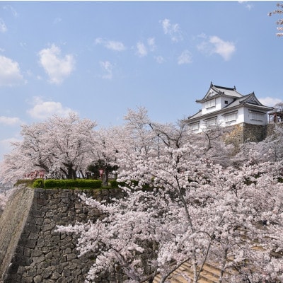 【返礼品なし】岡山県津山市　応援寄付金(1口:1万円)