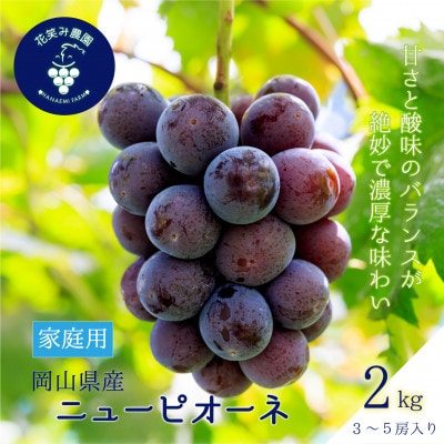 【2026年先行受付】岡山　花笑み農園の『ニューピオーネ』家庭用　約2kg(3～5房)　P-2家【配送不可地域：離島】