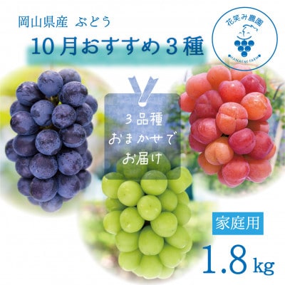 【2026年先行受付】岡山　花笑み農園の『10月おすすめ3種』家庭用　1.8kg(3房)3M-2L家【配送不可地域：離島】