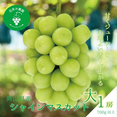 【2026年先行受付】岡山　花笑み農園の『シャインマスカット』700g以上(大1房)S-大1【配送不可地域：離島】