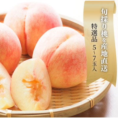 【2026年先行予約】特選品　旬採り桃　5-7玉　(岡山県産)【配送不可地域：離島】