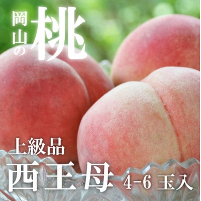 【2026年先行予約】女神の名を持つ希少な晩生桃、西王母(上級品)4-6玉入(岡山県産)【配送不可地域：離島】