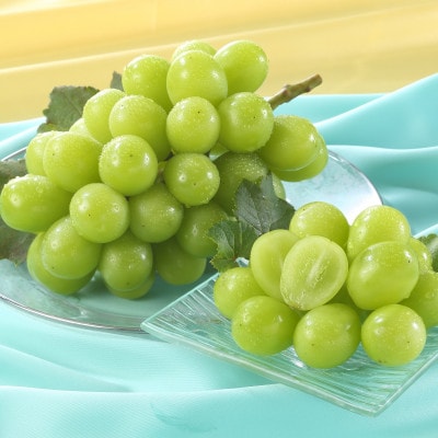 岡山県産　秋のシャインマスカット　1房【冷蔵】2026年発送【配送不可地域：離島・北海道・沖縄県】