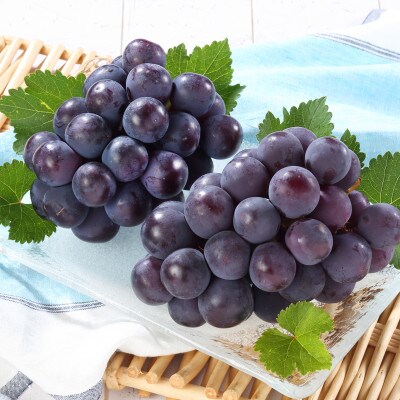 岡山県産　オーロラブラック2房【冷蔵】2026年発送【配送不可地域：離島・北海道・沖縄県】