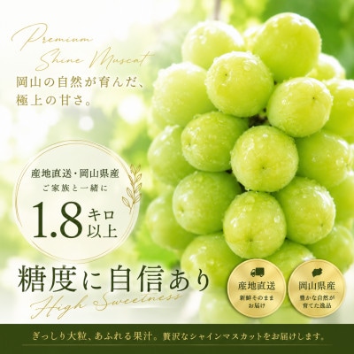 「1.8キロ以上」産地直送・岡山県産シャインマスカット【配送不可地域：離島】
