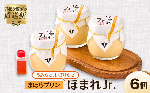 うみたて、しぼりたてまほらプリン ほまれJr【配送不可地域：離島】