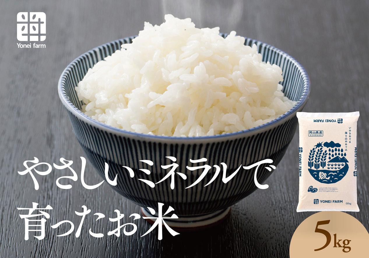 おいしいお米(5kg) 無洗米 リピーター続出 きぬむすめ