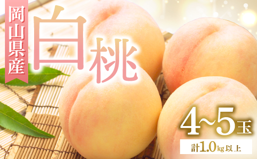 ◆先行受付◆　岡山県産　岡山白桃4～5玉　2026年発送【配送不可地域：離島・北海道・沖縄県】