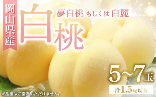◆先行受付◆　岡山県産　岡山白桃5～7玉(2)　2026年発送【配送不可地域：離島・北海道・沖縄県】