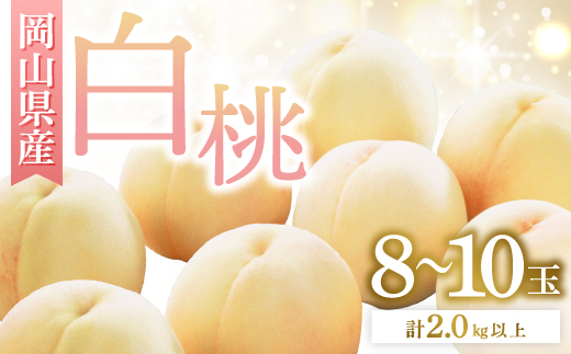 ◆先行受付◆　岡山県産　岡山白桃8～10玉　2026年発送【配送不可地域：離島・北海道・沖縄県】