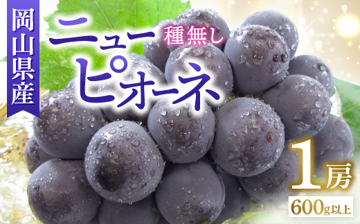 ◆先行受付◆　岡山県産　秋のニューピオーネ　2026年発送【配送不可地域：離島・北海道・沖縄県】