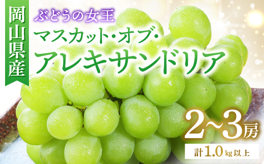 ◆先行受付◆　岡山県産　秋のマスカット・オブ・アレキサンドリア　2026年発送【配送不可地域：離島・北海道・沖縄県】