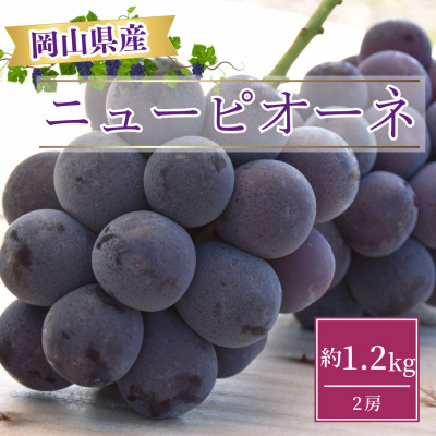 【2026年発送】岡山県産ニューピオーネ約1.2kg(2房)【配送不可地域：離島】