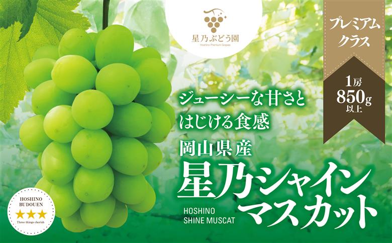 【三つ星ブランド】星乃シャインマスカット プレミアムクラス(岡山県産) 1房×850g以上【配送不可地域：離島・北海道・沖縄県】