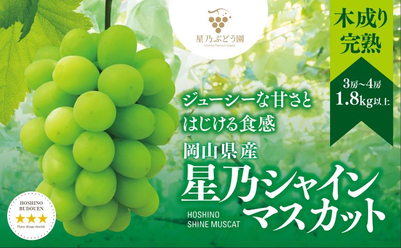 【2026年発送】星乃シャインマスカット(岡山県産) 3～4房(1.8kg以上)【配送不可地域：離島・北海道・沖縄県】