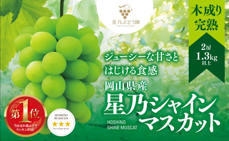 先行受付【三つ星ブランド】星乃シャインマスカット 数量限定 (岡山県産)2房(1.3kg以上)【配送不可地域：離島・北海道・沖縄県】