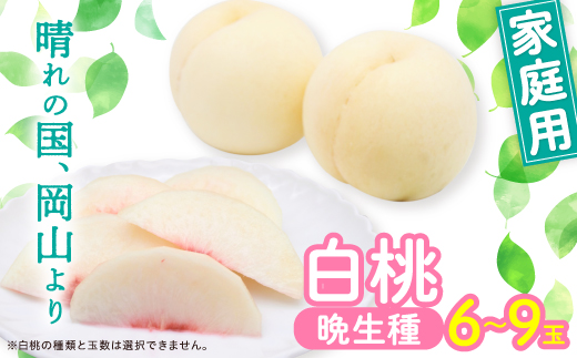 岡山白桃・晩生(ご家庭用)6～9玉入り【2026年8月中旬より発送予定】【配送不可地域：離島】