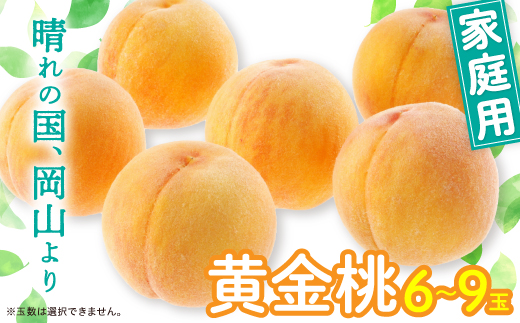 黄金桃(ご家庭用)6～9玉入り　【2026年8月末頃より発送予定】【配送不可地域：離島】