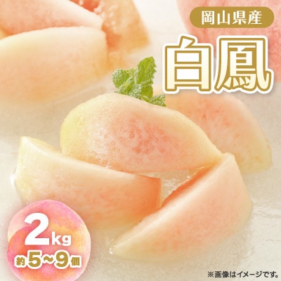 【2026年先行予約】2026年7月中旬頃より発送予定・岡山の白桃・白鳳(2kg箱)【配送不可地域：離島】