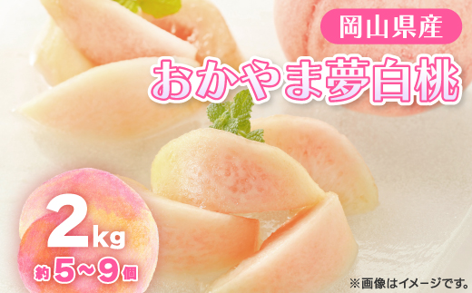 【2026年先行予約】2026年8月上旬頃より発送予定・岡山の白桃・おかやま夢白桃(2kg箱)【配送不可地域：離島】