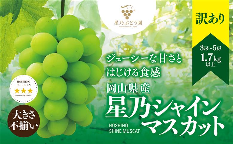 2026発送【訳あり】粒の大きさが不揃い 星乃シャインマスカット 1.7kg 3房～5房入り【配送不可地域：離島・北海道・沖縄県】