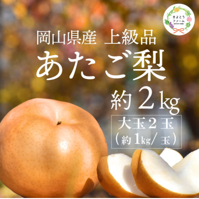 【2025年発送】あたご梨 上級品 2玉入(1kg級/玉)(岡山県産)  お歳暮やギフトにおすすめ