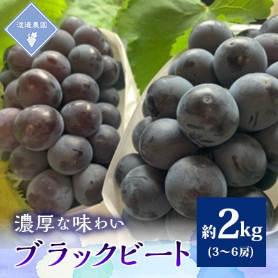 【先行予約 2026年発送】岡山県産　アントシアニン豊富な　ブラックビート3房～6房(合計約2kg)【配送不可地域：離島】
