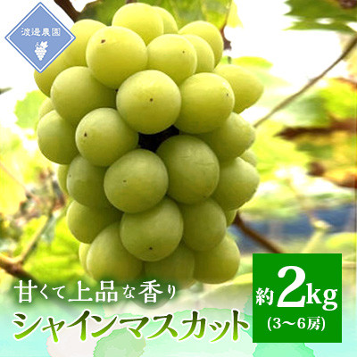 【先行予約 2026年発送】岡山県産　シャインマスカット　3房～6房(合計約2kg)【配送不可地域：離島】