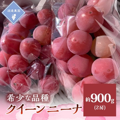 【先行予約 2026年発送】岡山県産　クイーンニーナ 2房 合計約900g【配送不可地域：離島】