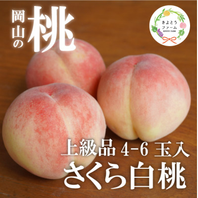 【2026年先行予約】しっかりとした果肉が美味しい「さくら白桃」上級品 4-6玉入(岡山県産)【配送不可地域：離島】