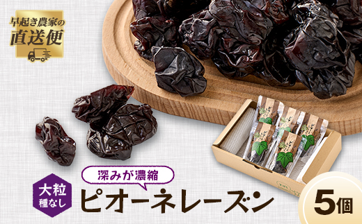 ピオーネレーズン 小袋5個セット