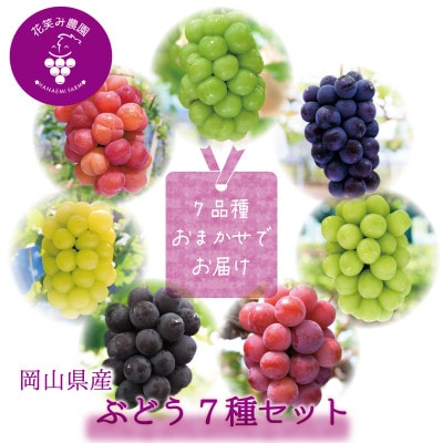 【2026年先行受付】岡山　花笑み農園のブドウ『食べ比べ7種セット』7M-5【配送不可地域：離島・北海道・沖縄県】