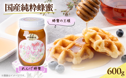 津山市産 れんげ蜂蜜　600g
