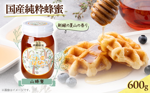 津山市産 山蜂蜜　600g