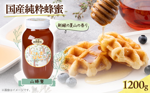 津山市産 山蜂蜜　1200g
