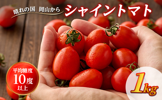 シャイントマト　1キロ 500g×2袋【配送不可地域：離島・北海道・沖縄県・東北・関東・信越、北陸】