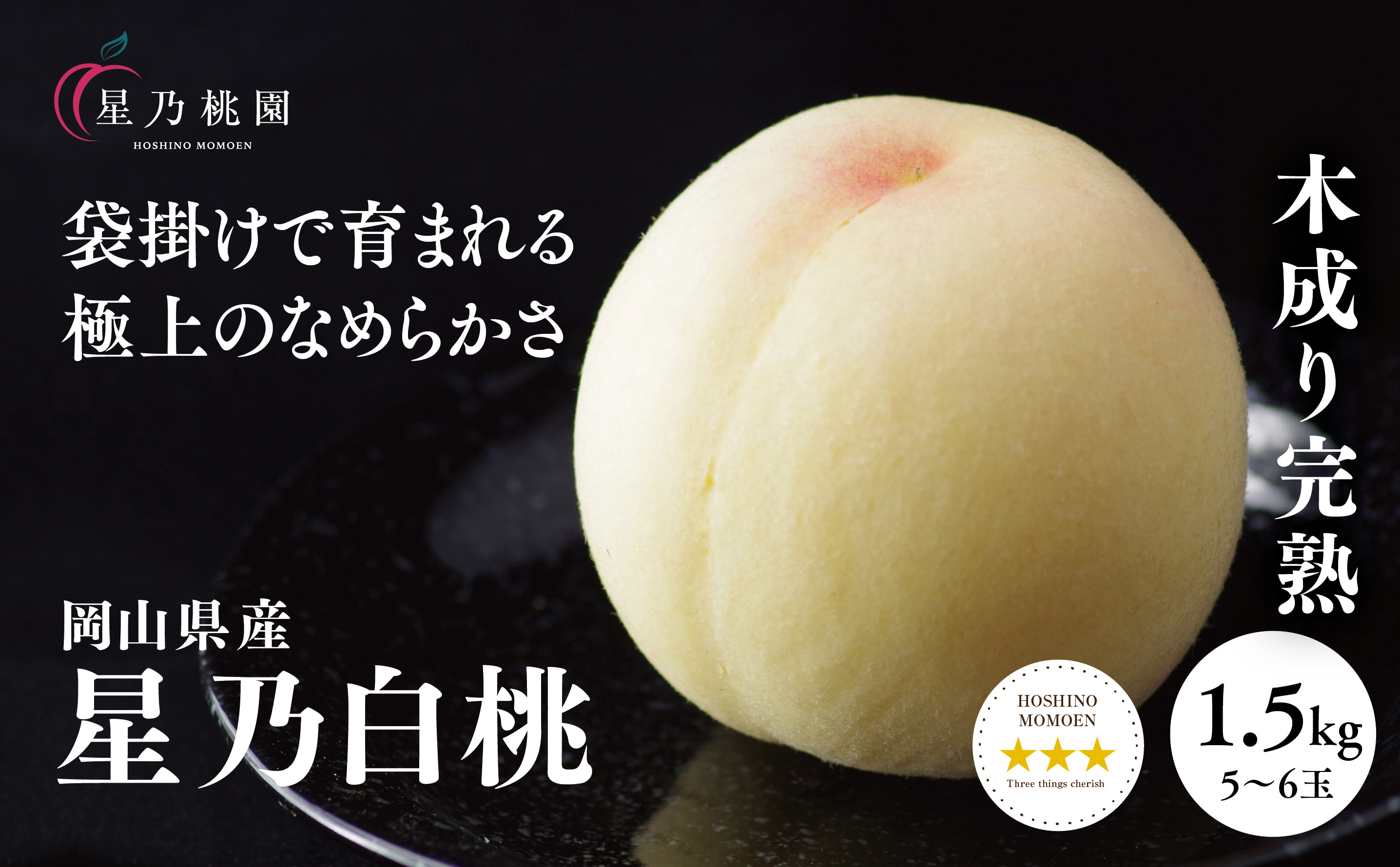 先行受付【星乃白桃】岡山県の桃園からお届けする三つ星の桃 1.5kg(5～6玉)【配送不可地域：離島・北海道・沖縄県】