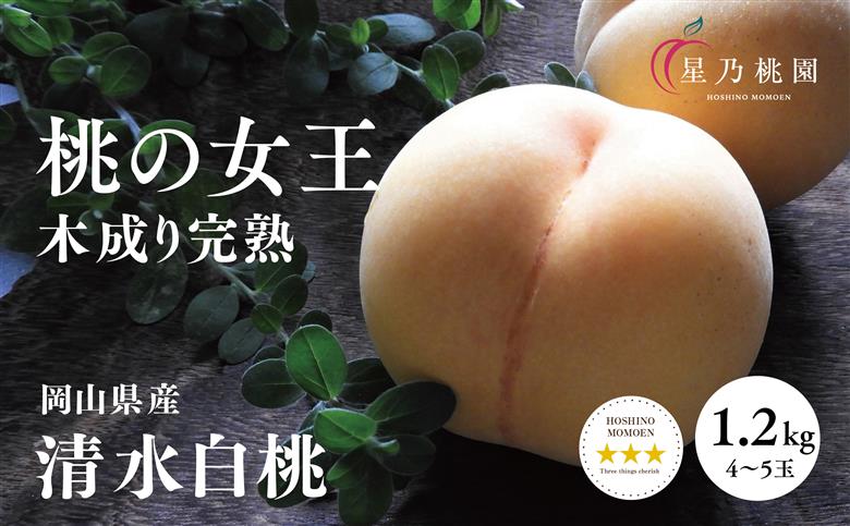 先行受付【清水白桃】岡山県産 三つ星 星乃桃園 1.2kg (4～5玉)【配送不可地域：離島・北海道・沖縄県】