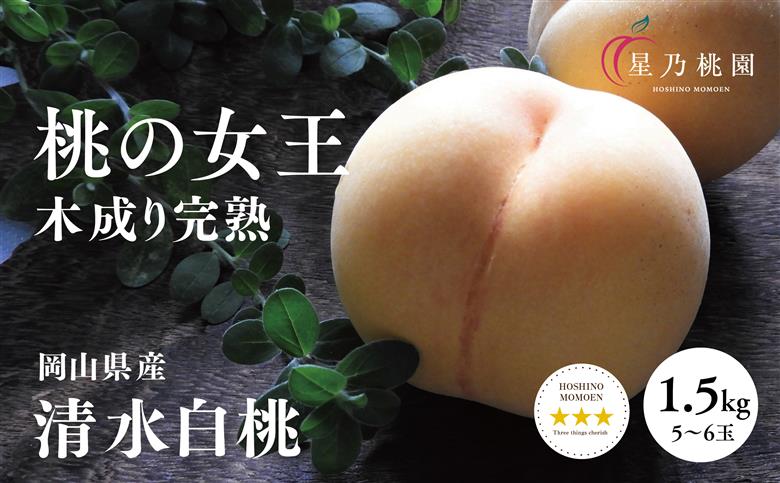 先行受付【清水白桃】岡山県産 三つ星 星乃桃園 1.5kg (5～6玉)【配送不可地域：離島・北海道・沖縄県】