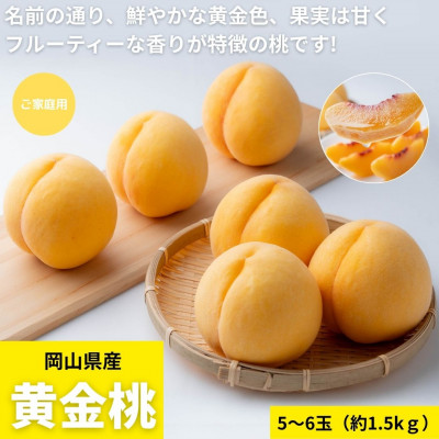 【2026年発送】ご家庭用　岡山県産黄金桃　約1.5kg(5～6玉)【配送不可地域：離島】