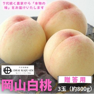 【2026年発送】岡山県産白桃　3玉・約800g(クール便)【配送不可地域：離島】