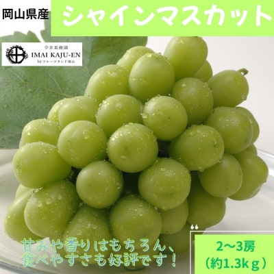 【2026年発送】岡山県産シャインマスカット　約1.3kg・2～3房(クール便)【配送不可地域：離島】