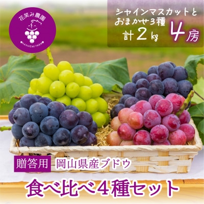 【2026年先行受付】岡山　花笑み農園の『食べ比べ4種』シャイン入り　贈答用　2kg(4房)4M-2【配送不可地域：離島・北海道・沖縄県】