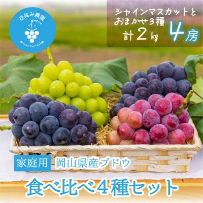 【2026年先行受付】岡山　花笑み農園の『食べ比べ4種』シャイン入り　家庭用　2kg(4房)4M-2【配送不可地域：離島・北海道・沖縄県】