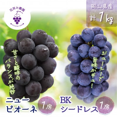 【2026年先行受付】岡山　花笑み農園の『ニューピオーネ＆BKシードレス』1kg(2房)PB-1【配送不可地域：離島・北海道・沖縄県】