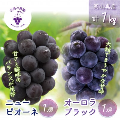 【2026年先行受付】岡山　花笑み農園の『ニューピオーネ＆オーロラブラック』1kg(2房)　PA-1【配送不可地域：離島・北海道・沖縄県】